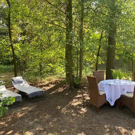 Lesna Hacienda Nad Wkra *